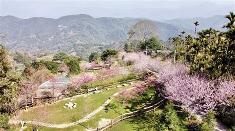 聽花山川